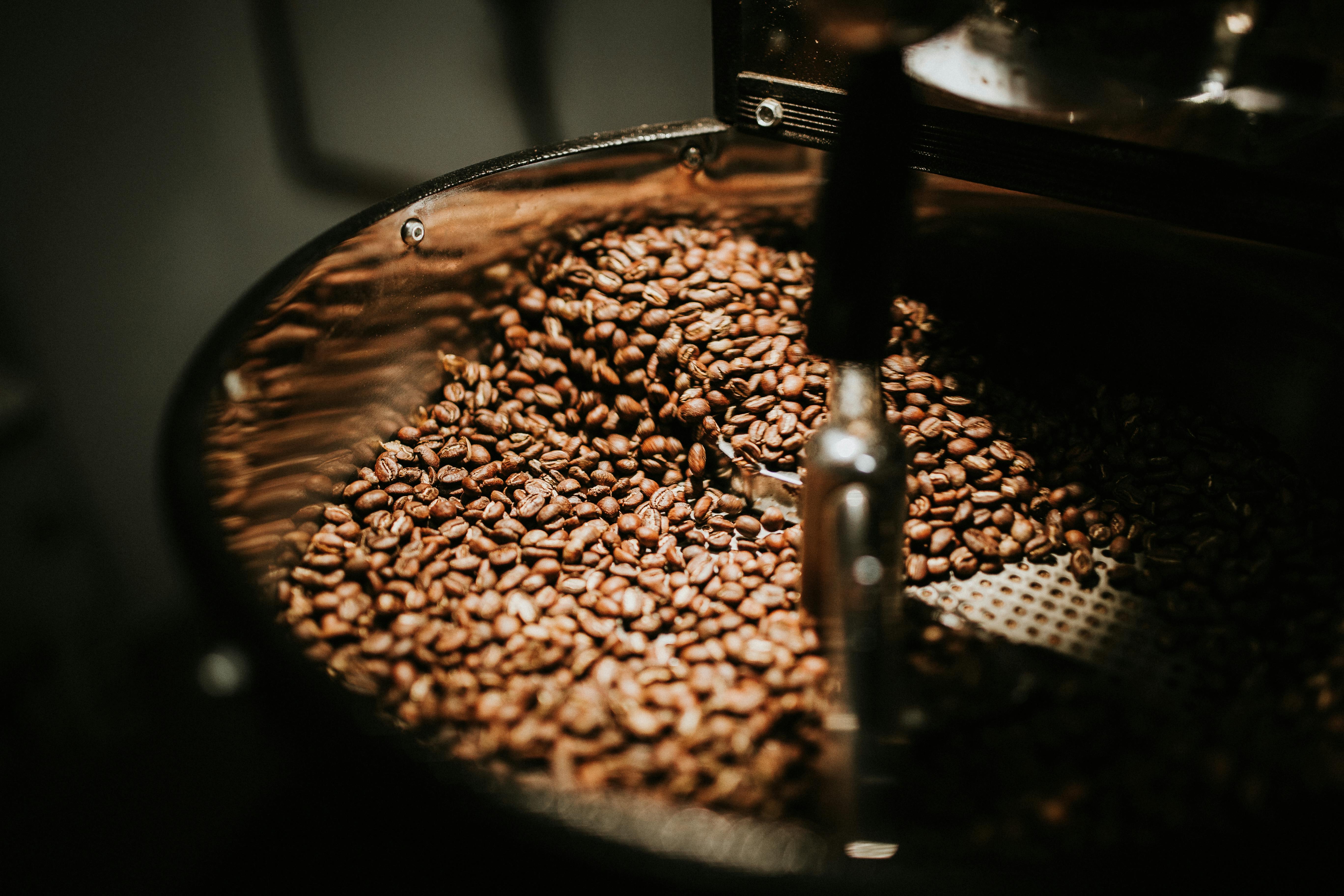 Close-up of coffee beans